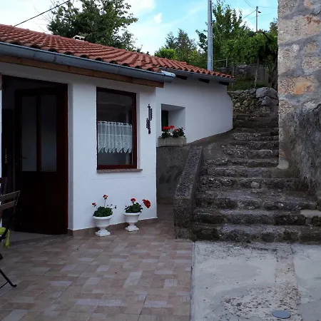 Nyaraló Milica *